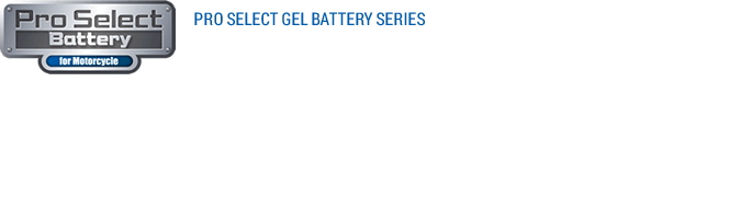 プロセレクト ジェルバッテリー | Pro Select Battery プロセレクト